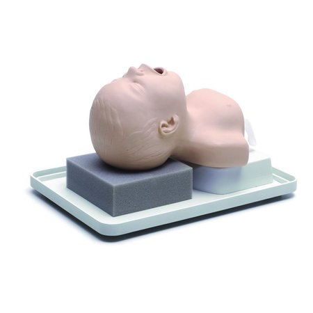LAERDAL Neonatal Intubation Trainer 250-00101